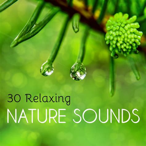 ‎30 Relaxing Nature Sounds - Soothing Water and Earth Noises to Improve Meditation and Sleep ...