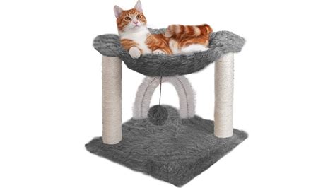 Best cat hammocks 2024: Deliver a purrfect perch | PetsRadar