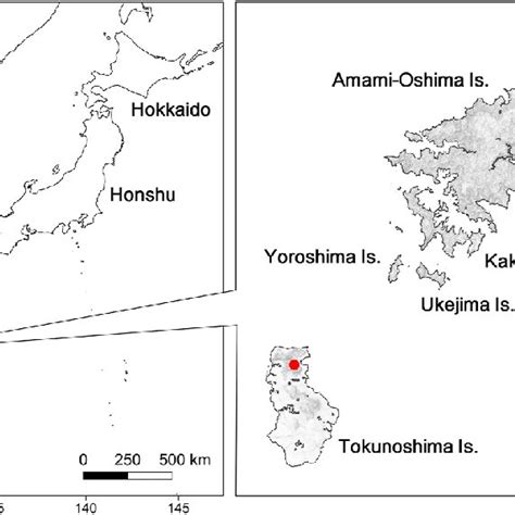 Map showing the location of the Amami-Oshima and Tokunoshima Islands.... | Download Scientific ...