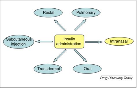 Nanoparticle Insulin Drug Delivery — Applications and New Aspects ...