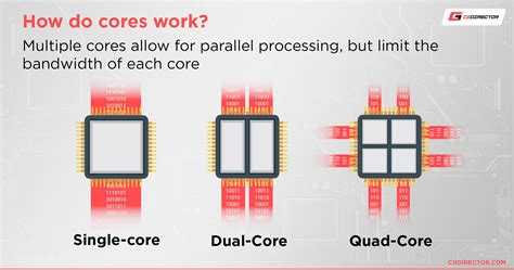 Types of Processors (CPUs) Listed and Explained [Updated 2024]