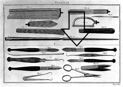 Flashcards - Dissection Terms Flashcards | Study.com