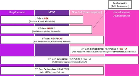 Antibiotic Coverage Chart Cephalosporins