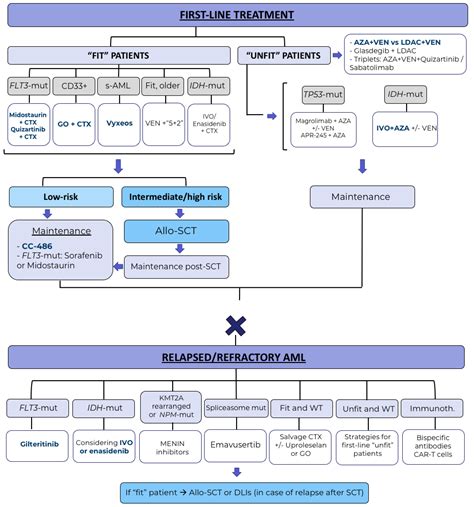 Cancers | Free Full-Text | Updates on the Management of Acute Myeloid ...