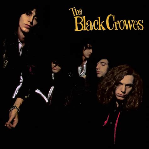 Black Crowes New Album 2024 - Alfie Austine