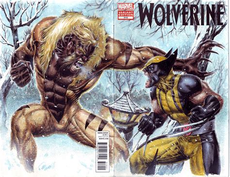 Wolverine vs Sabretooth by edtadeo.deviantart.com on @deviantART ...