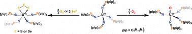 Elemental chalcogen reactions of a tetravalent uranium imidophosphorane complex: cleavage of ...
