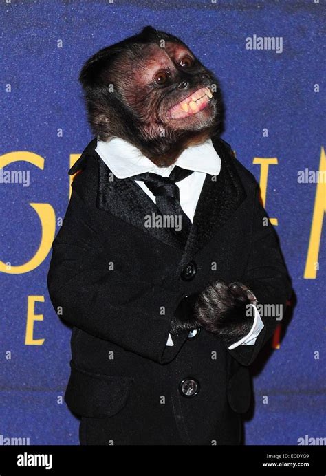 Crystal monkey night at the museum hi-res stock photography and images - Alamy