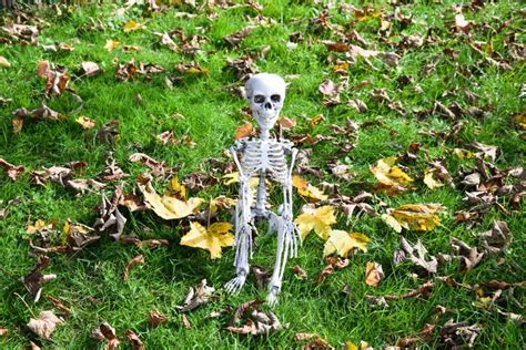 Creepy Halloween Skeleton On A Chair Stock Photo - Image of fear, sitting: 129286172