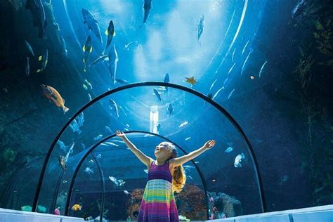 Aquarium du Quebec, Quebec City | Tickets & Tours - 2024