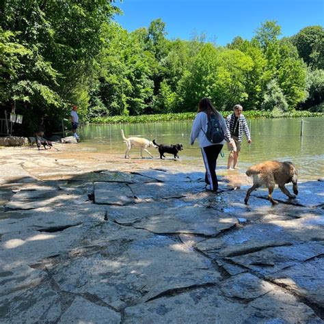 Prospect Park Dog Beach - Prospect Park - 8 tips from 1151 visitors