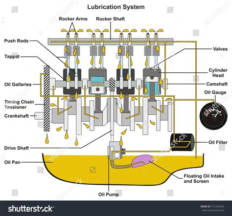 401 Lubrication System Stock Vectors, Images & Vector Art | Shutterstock