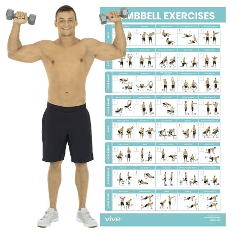 Buy Vive Dumbbell Workout - Home Gym Exercise for Upper, Lower, Full ...