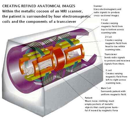 Mri Machine Diagram