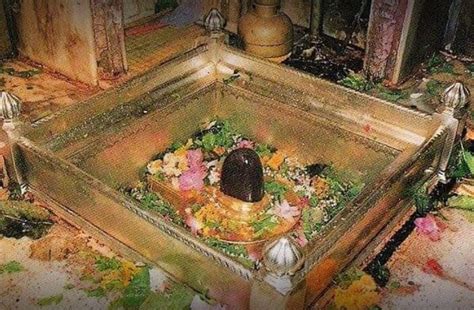 Kashi Vishwanath Temple | Kashi Temple - History, Timings, Images