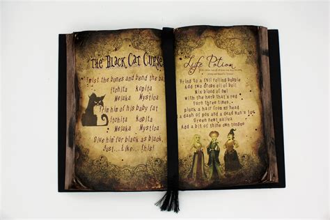 Haunted Witch Hocus Pocus Human Skin Spell Book - seensociety.com