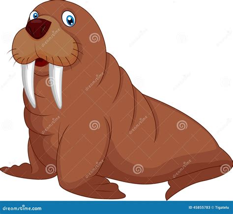 Cartoon walrus stock vector. Illustration of winter, teeth - 45855783