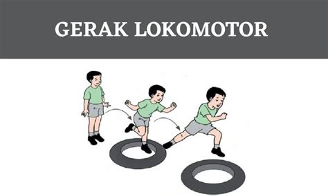 Gambar Contoh Gambar Pergerakan Lokomotor Pergerakan Lokomotor | Porn Sex Picture