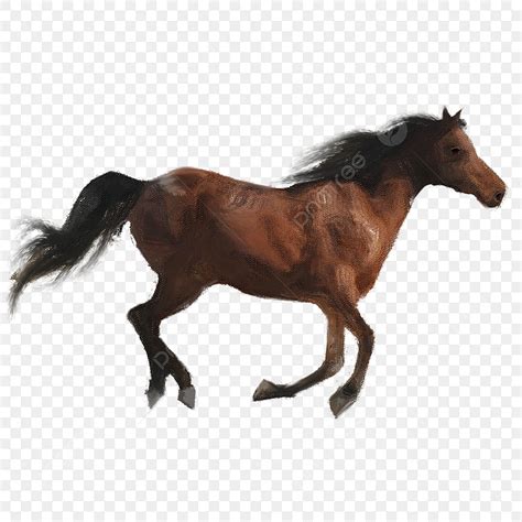 Horse Riding PNG Picture, Running Horse Steppe Riding Elements, Horse, Element, Running PNG ...