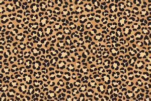 Leopard Vector Art, Icons, and Graphics for Free Download