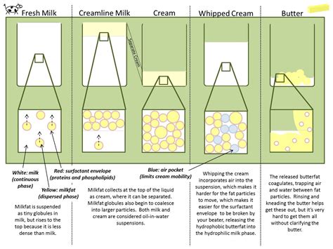 The Homestead Laboratory: Egg Beater Butter