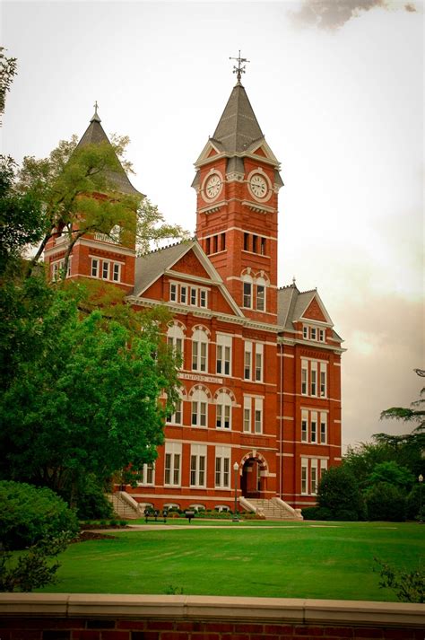 One State, Two Boys: Toomer's Corner - Auburn, Alabama - July 26, 2011