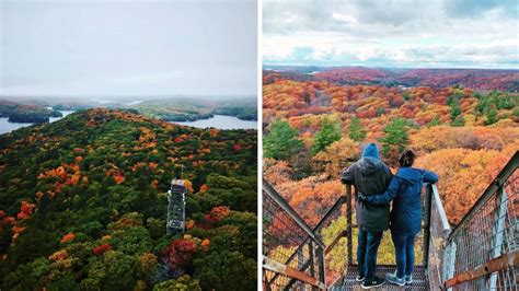 Ontario's Massive Lookout Tower Is Open For Fall Colours & It's The ...