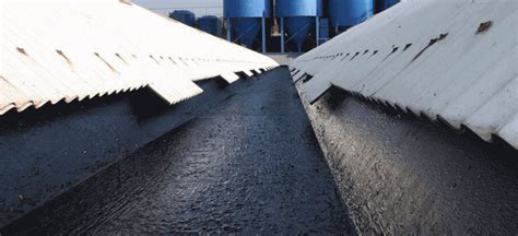 Bituminous Membrane | Roofs | Water Barriers