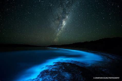 Sea Sparkle - Extreme Bioluminescence in Tasmanian Waters | Tasmanian ...