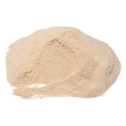 Apple Pectin Powder | Bulkfoods.com