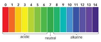 Indicators - Acids and Bases