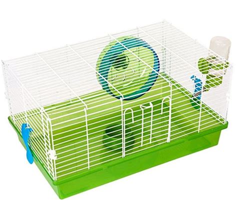 10 Best Hedgehog Cages And Their Reviews - Hedgehogged in 2020 | Hedgehog cage, Hedgehog pet ...