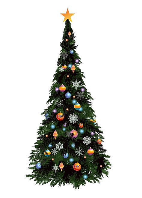 Christmas Tree No Background Digital Art by Trevor Irvin - Fine Art America