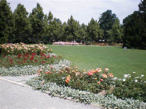 Rose Garden (Rosengarten) (Bern) - 2021 All You Need to Know Before You ...