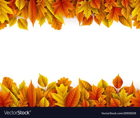 Autumn leaves isolated on white background Vector Image