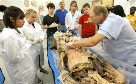 Kids dissect cadavers at Augustana’s distinctive science camp | Local ...