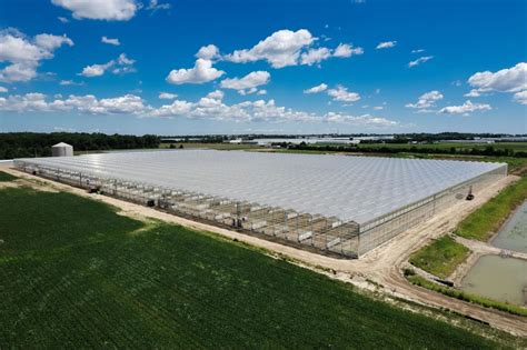 How Much Does It Cost to Build A Commercial Greenhouse? | Prospiant