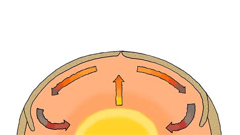 Which Best Describes the Shape of a Convection Current