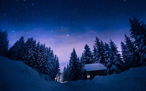 Winter Night Forest Wallpapers - Top Free Winter Night Forest Backgrounds - WallpaperAccess