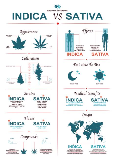 Indica vs Sativa effects: the differences | Weedseedsexpress