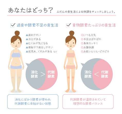 酵素とは – 酵素小町なないろは