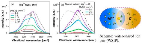 Liquids | Free Full-Text | Vibrational Raman Spectroscopy of the Hydration Shell of Ions