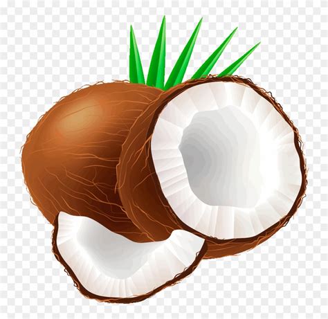 coconut clipart png 10 free Cliparts | Download images on Clipground 2024