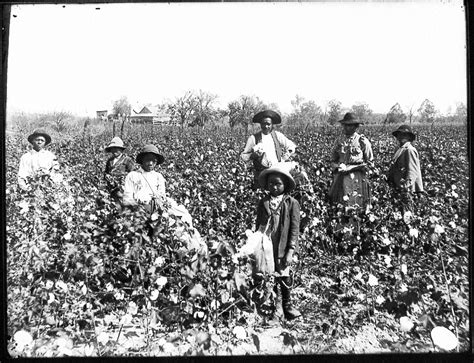 History of African-American agriculture - Wikipedia
