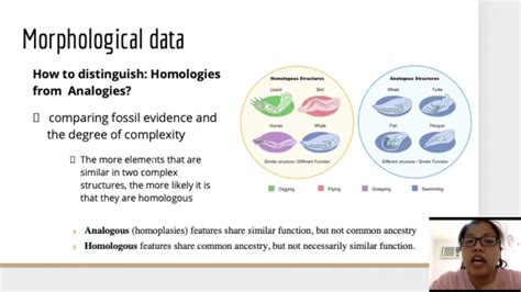 Lesson 2 part 1 Morphological and Molecular Data in Phylogenies - YouTube