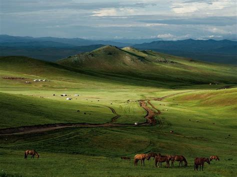 Estepas de Colombia