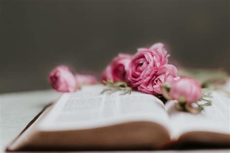 Flowers on Bible - Church stock photos - Logos Sermons