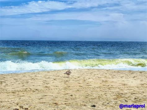 Beach in Sea Bright, NJ | Beautiful beaches, Beach, Sea bright