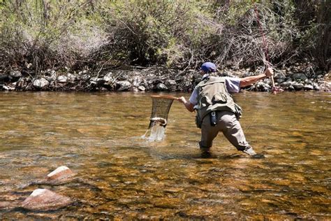 Fly Fishing Nets Are an Essential Piece of Angling Gear