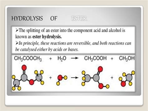 Hydrolysis